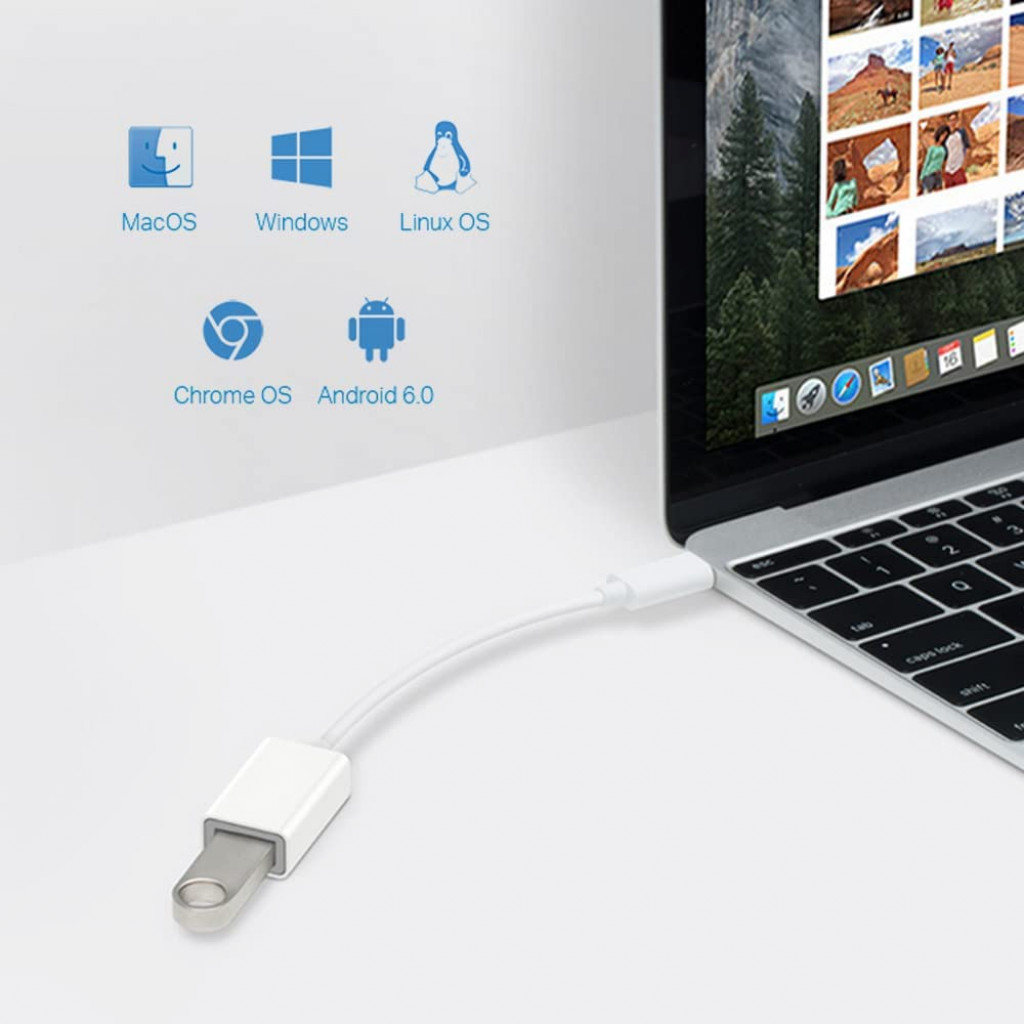 TP-Link UC400 Super Speed 3.0 USB-C to USB-A Adapter, OTG/Universal Compatibility, Plug & Play TP-Link UC400 Super Speed 3.0 USB-C to USB-A Adapter, OTG/Universal Compatibility, Plug & Play
